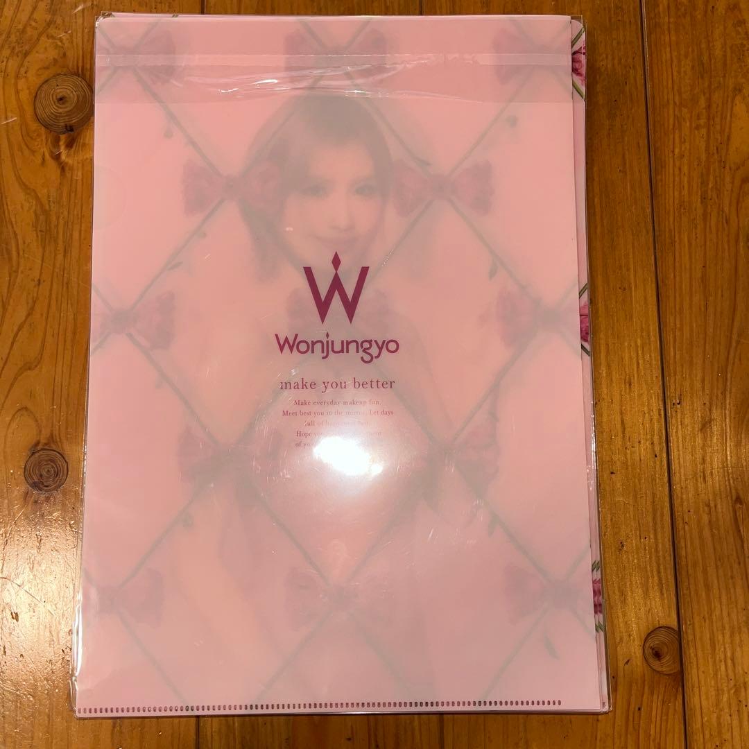 TWICEモモ クリアファイル27枚セット