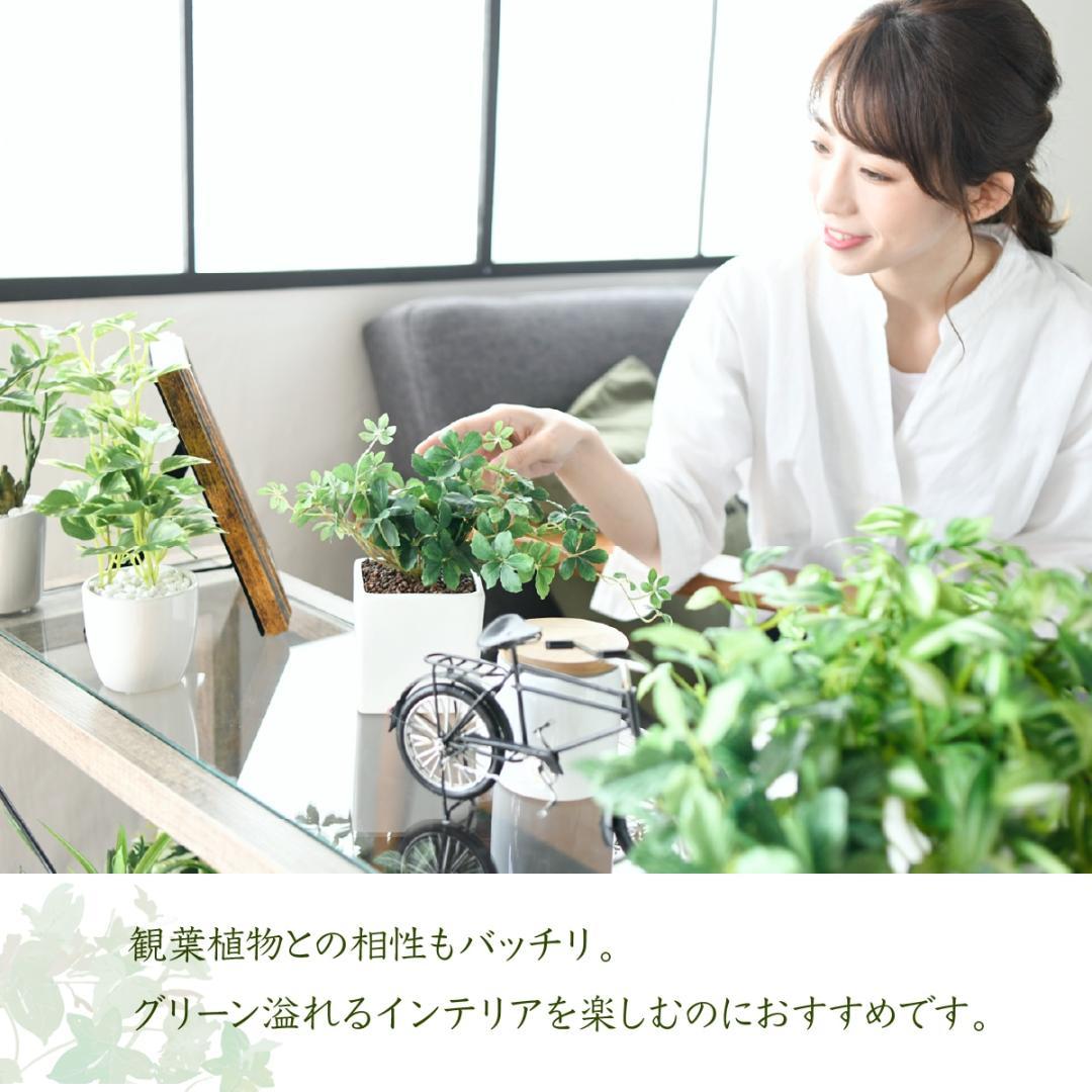観葉植物 室内 スリム おしゃれ プランタースタンド 二段 ラック ナチュラル