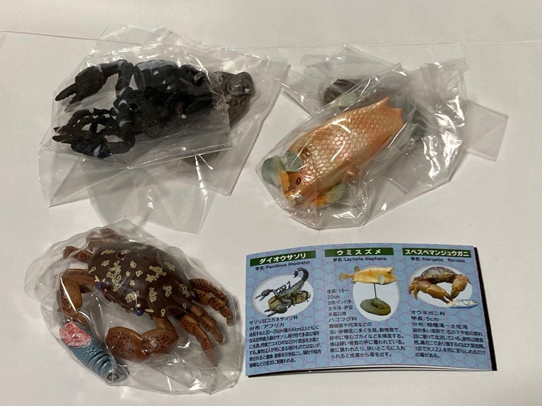 地球生命紀行 外伝 毒のある生物 全9種 コンプ エポック社