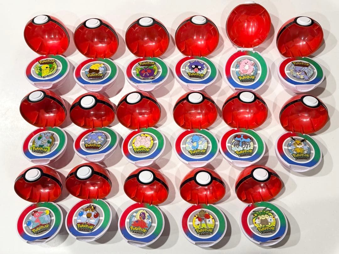 ポケパーク　ポケモン　タッツー　ピンズ