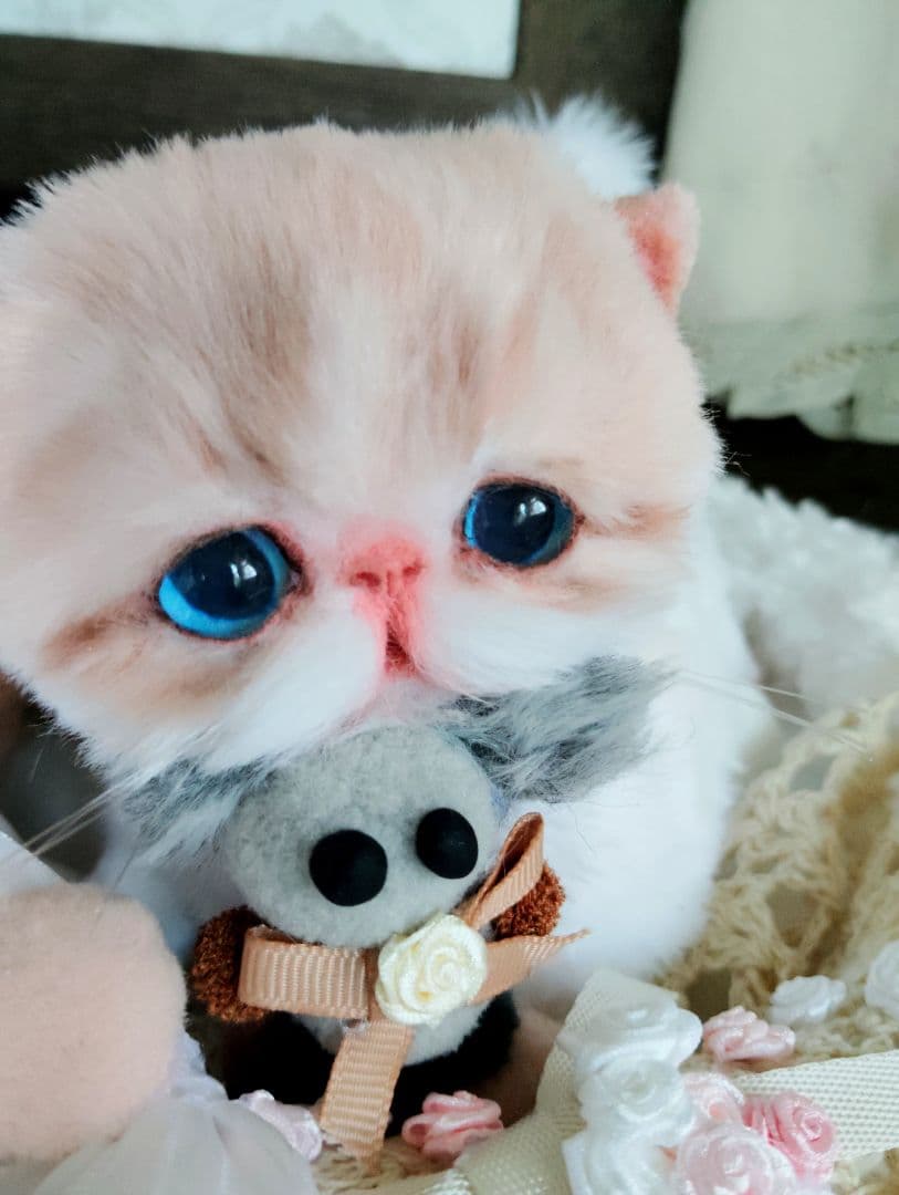 もちもちボディ♡エキゾチック子猫ちゃんとチュチュちゃん♡カゴ♡アートドール♡