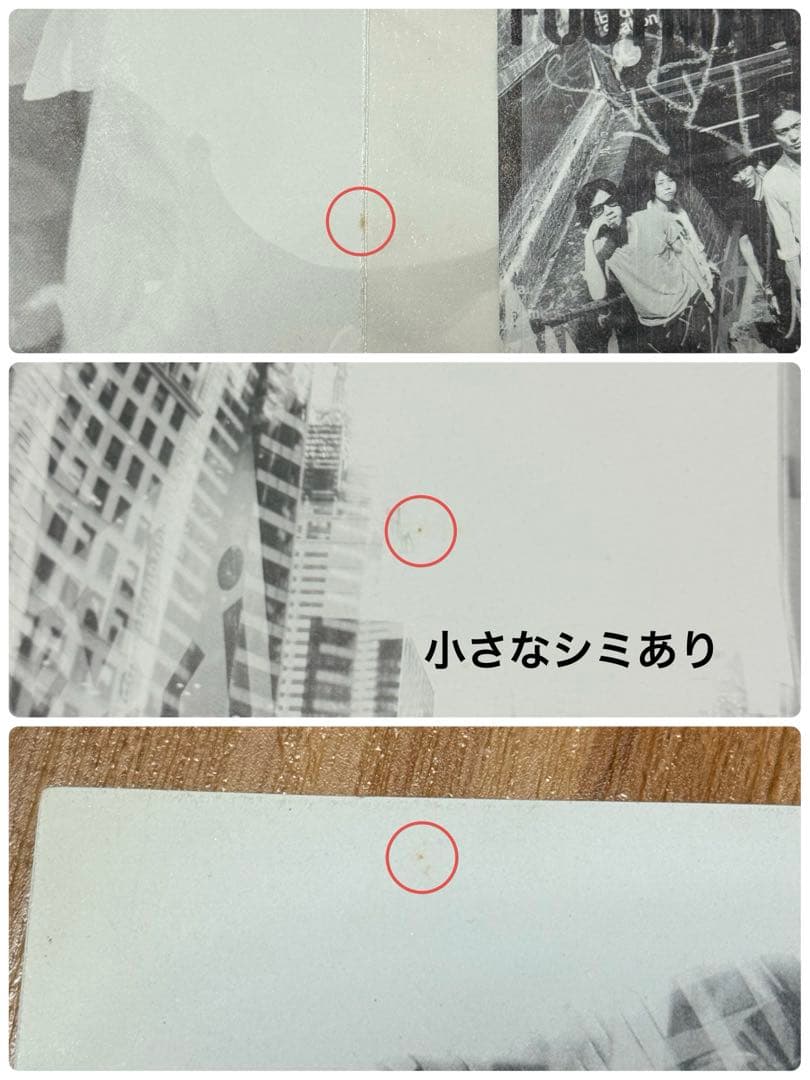 ミュージシャン ONE OK ROCK PRIMAL FOOTMARK 2011