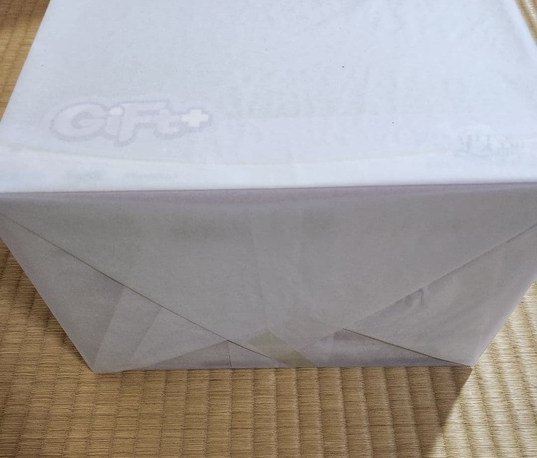 崩壊スターレイル　キャストリス　フィギュア