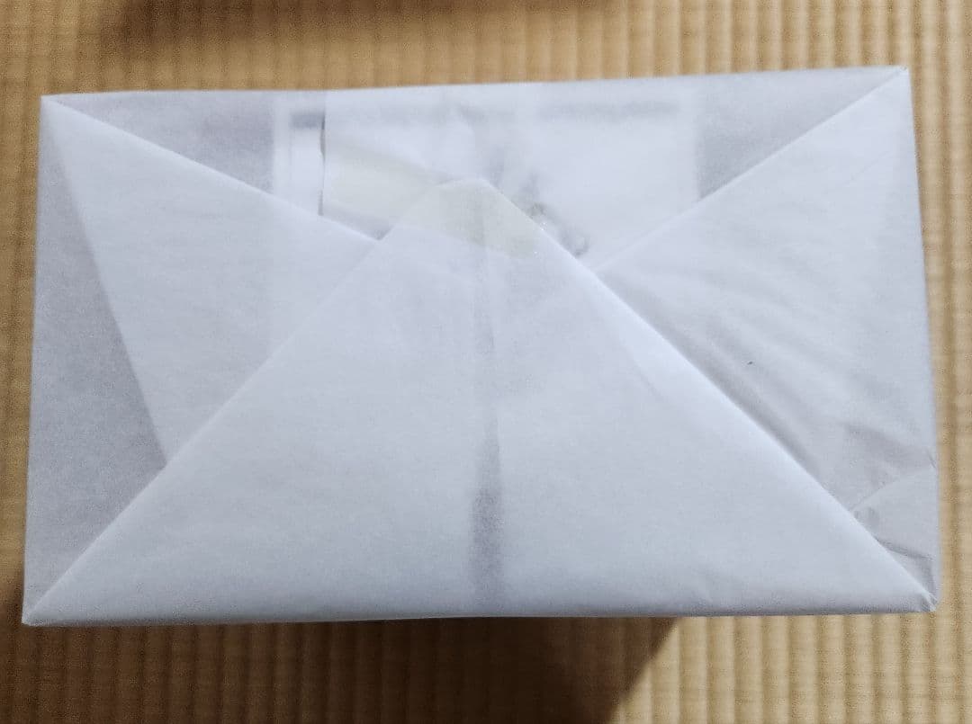 崩壊スターレイル　キャストリス　フィギュア