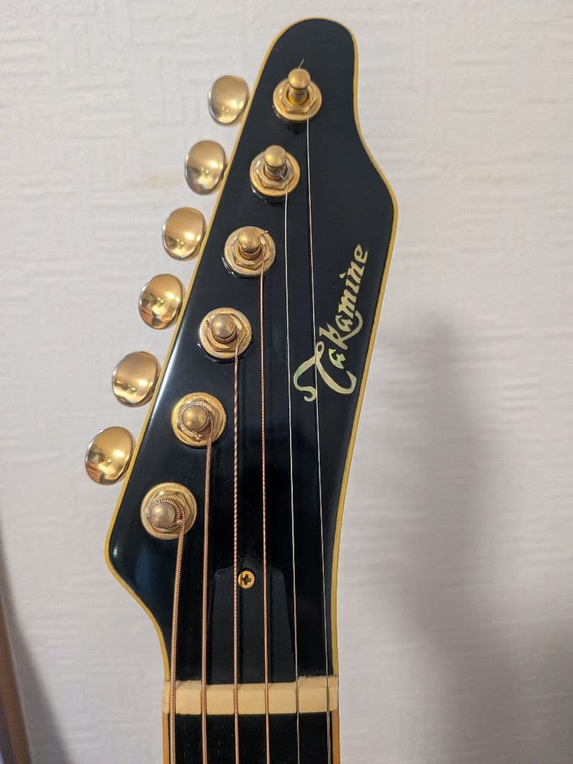 Takamine NPT-115-6NT 長渕剛　JAPANモデル