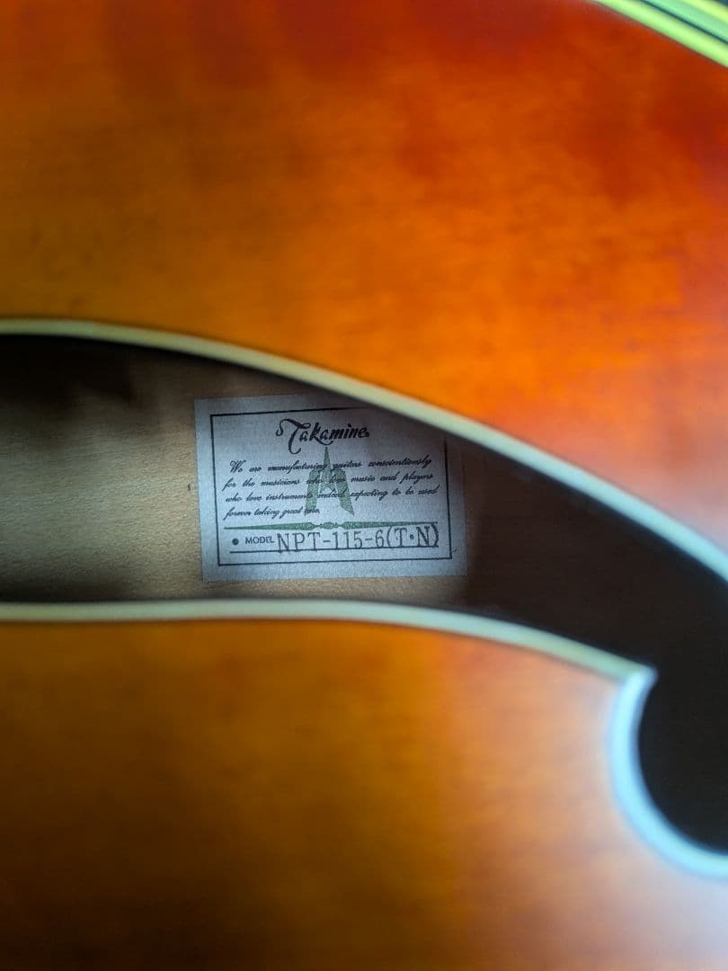 Takamine NPT-115-6NT 長渕剛　JAPANモデル