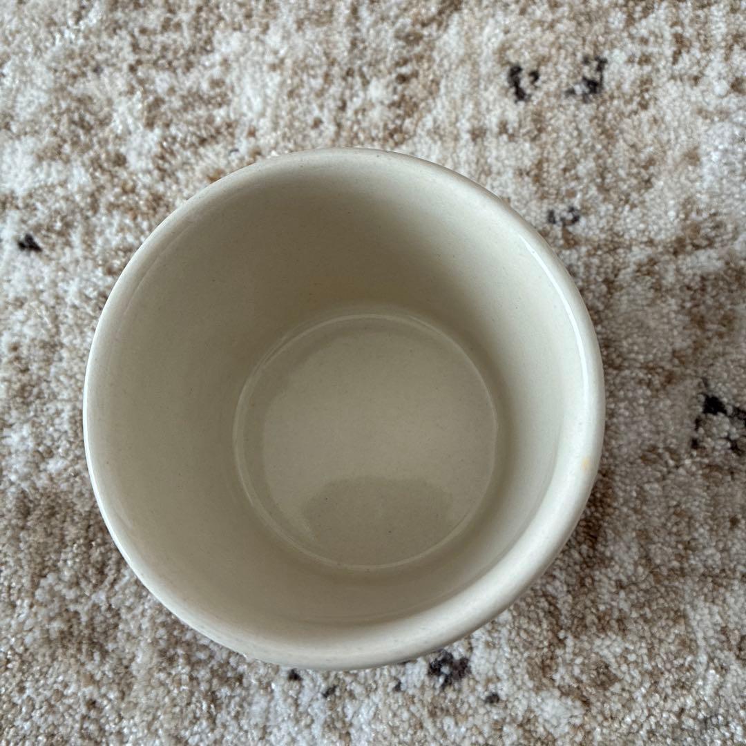 ポーランド食器　食器セット　６点