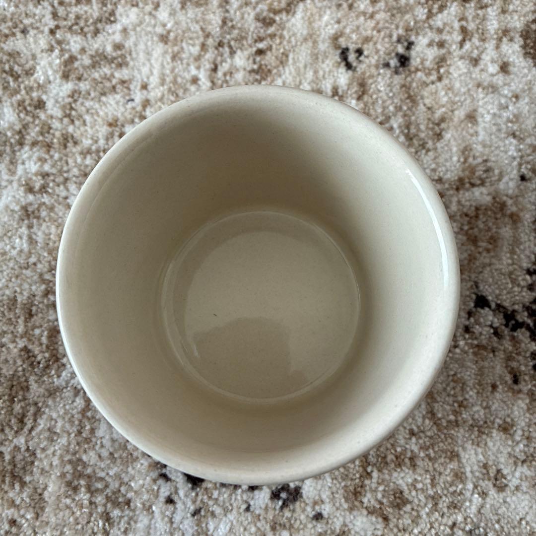 ポーランド食器　食器セット　６点