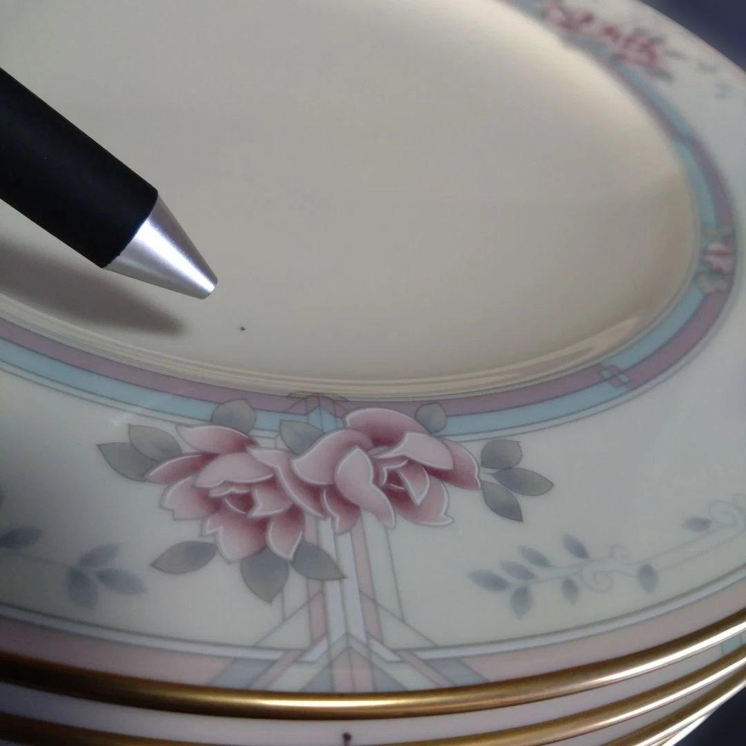 未使用 MAGNIFICENCE ディナープレート5枚　　パーティー