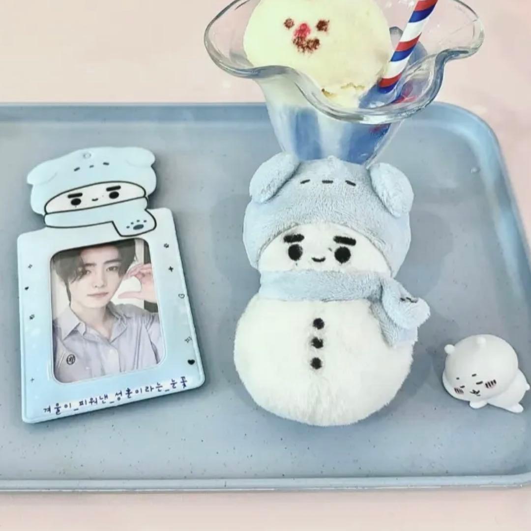 ENHYPEN エナプ ソンフン マスター ドール ぬいぐるみ トレカケース