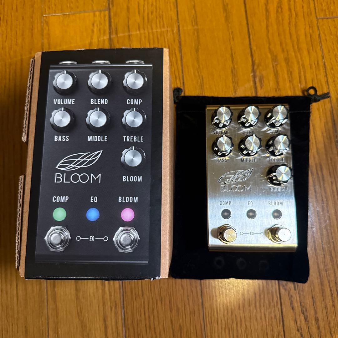 ギター JACKSON AUDIO / BLOOM V2 (stainless)