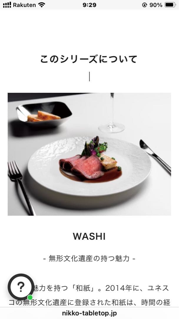 NIKKO 高級ライン　WASHI(和紙)25.5cmプレート6枚セット