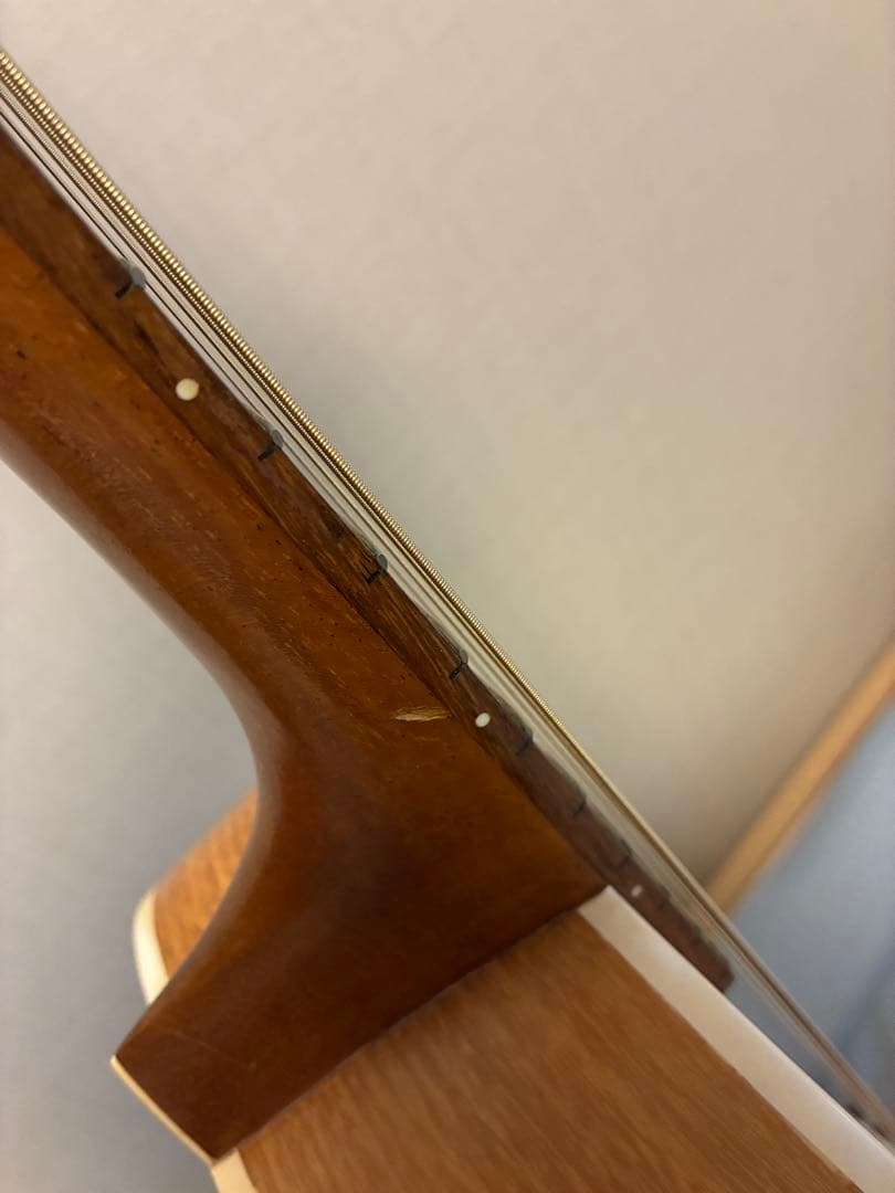 ギター K.Yairi Nocturne 871ST