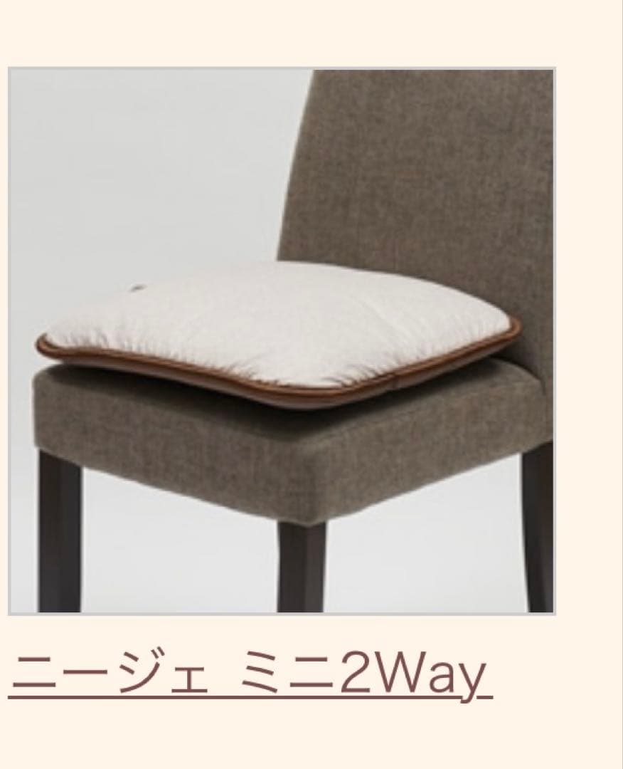 新品未使用品　 東洋羽毛　ニージェ ミニ2Way座ぶとん