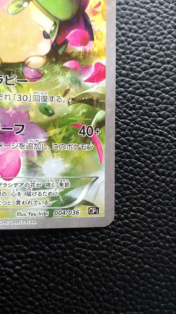 ポケモンカード　シェイミCP5