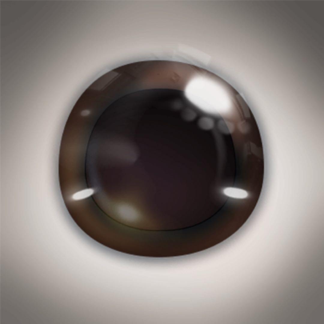 【タイムセール】lopeto(ロペット)パンダモデル　ペットロボットAI