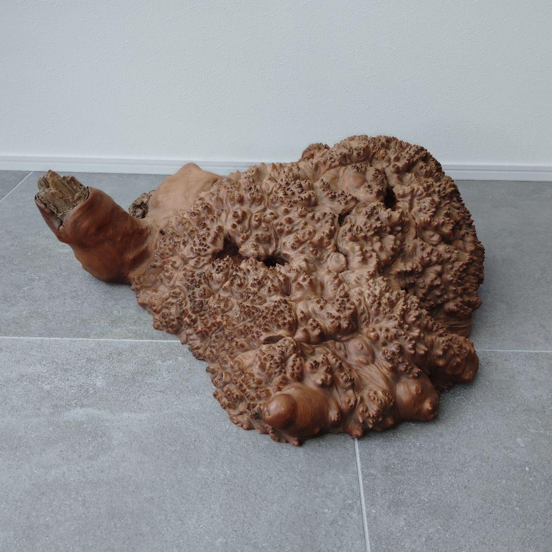 瘤杢オブジェ 亀型 花台 置台 花瓶台 盆栽台 飾り台 アンティーク 侘び寂び