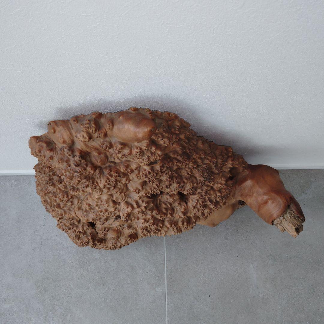 瘤杢オブジェ 亀型 花台 置台 花瓶台 盆栽台 飾り台 アンティーク 侘び寂び