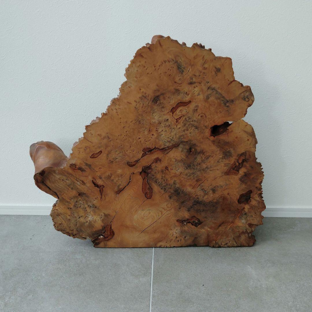 瘤杢オブジェ 亀型 花台 置台 花瓶台 盆栽台 飾り台 アンティーク 侘び寂び