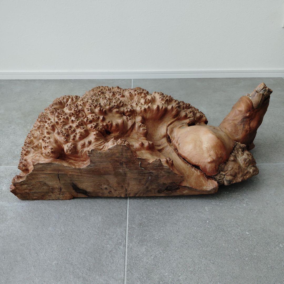 瘤杢オブジェ 亀型 花台 置台 花瓶台 盆栽台 飾り台 アンティーク 侘び寂び