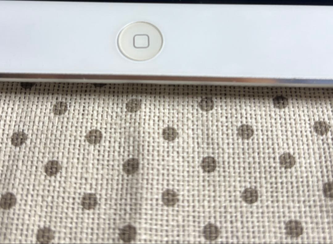 iPad Air 64GB (モデル A1474) Wifi 本体 ケース付き