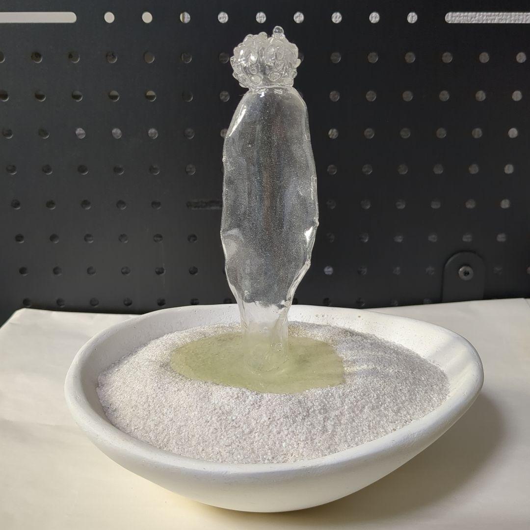 透明サボテン