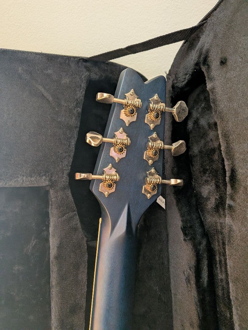 Washburn Rover RO10TB アコースティックギター