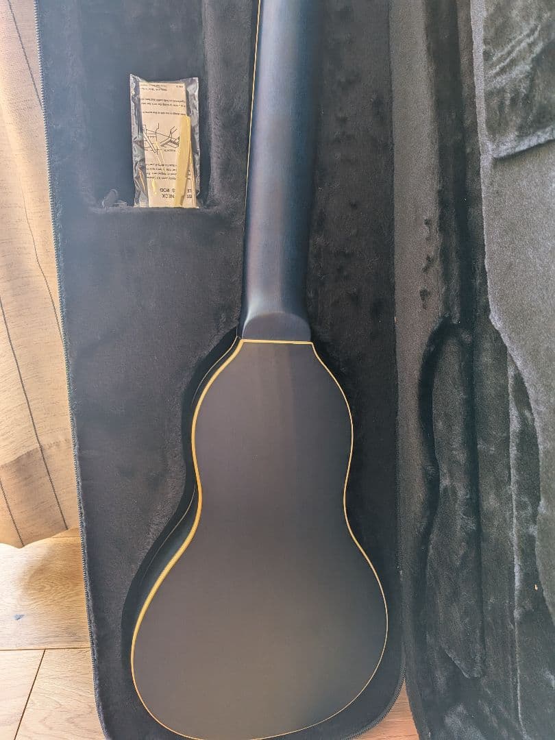 Washburn Rover RO10TB アコースティックギター