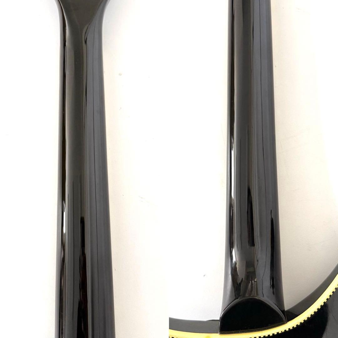 【希少】Aria Pro Ⅱ Rickenbacker 360 Type