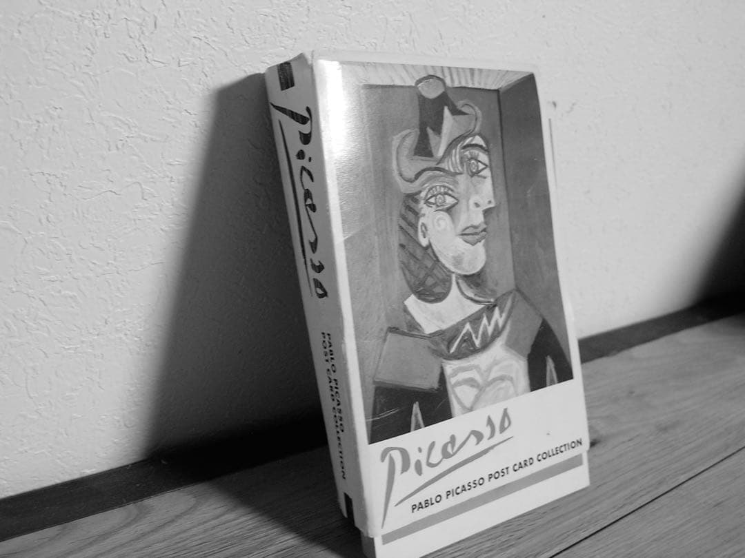 CONTAX TVS DIGITAL Carl Zeiss T＊