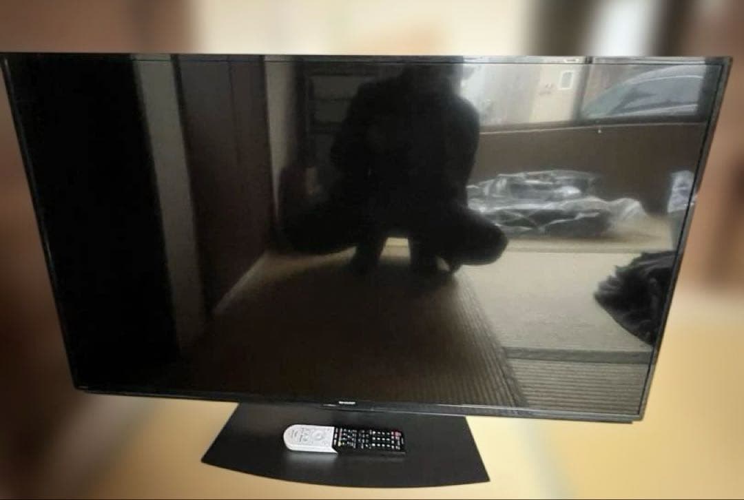 SHARP 4T-C50BL1 Androidテレビ【ジャンク】