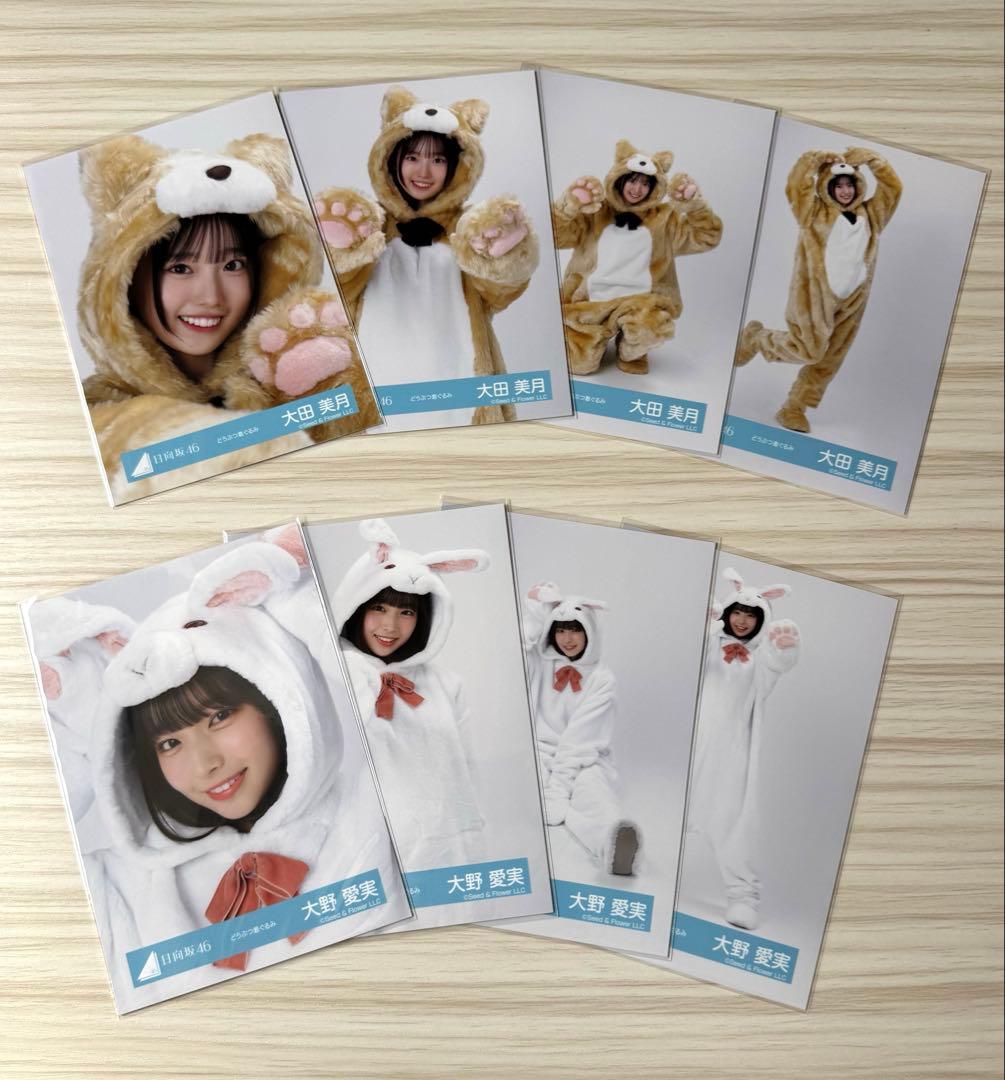 日向坂46 5期生 生写真 「どうぶつ着ぐるみ」 全コンプ