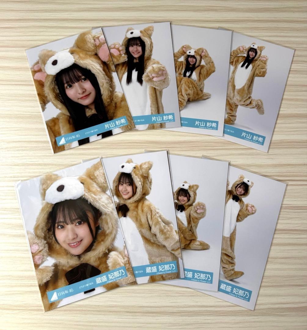 日向坂46 5期生 生写真 「どうぶつ着ぐるみ」 全コンプ