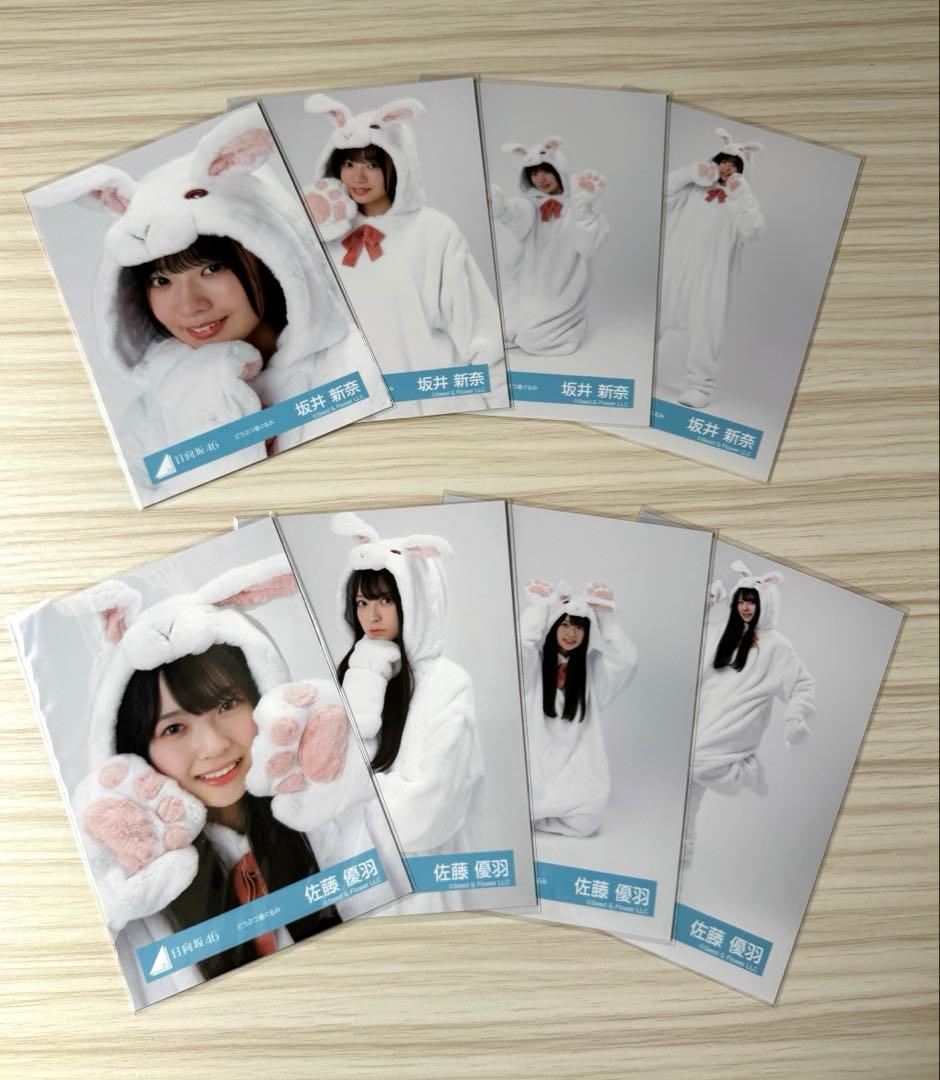 日向坂46 5期生 生写真 「どうぶつ着ぐるみ」 全コンプ