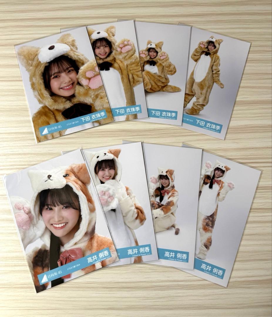 日向坂46 5期生 生写真 「どうぶつ着ぐるみ」 全コンプ