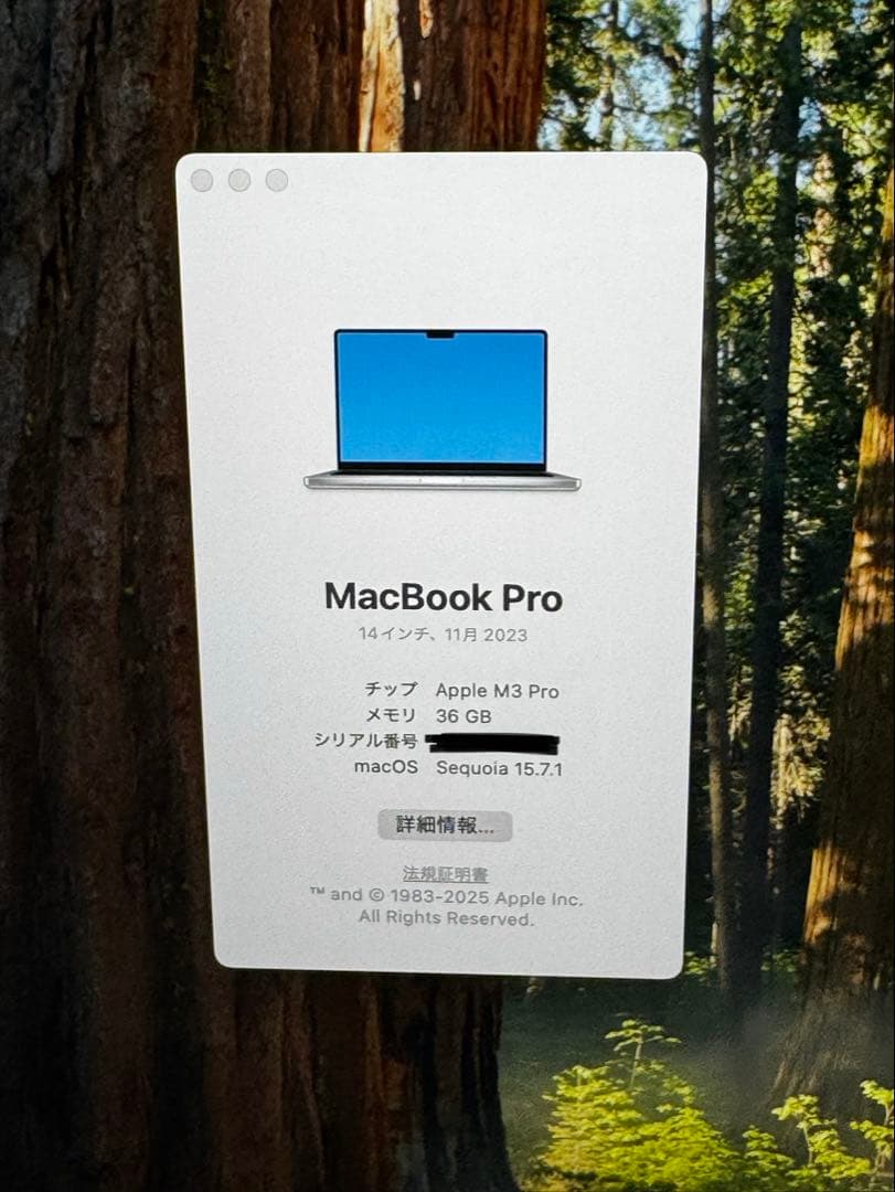 MacBook本体 Apple MacBook Pro 14 M3 Pro 36GB US