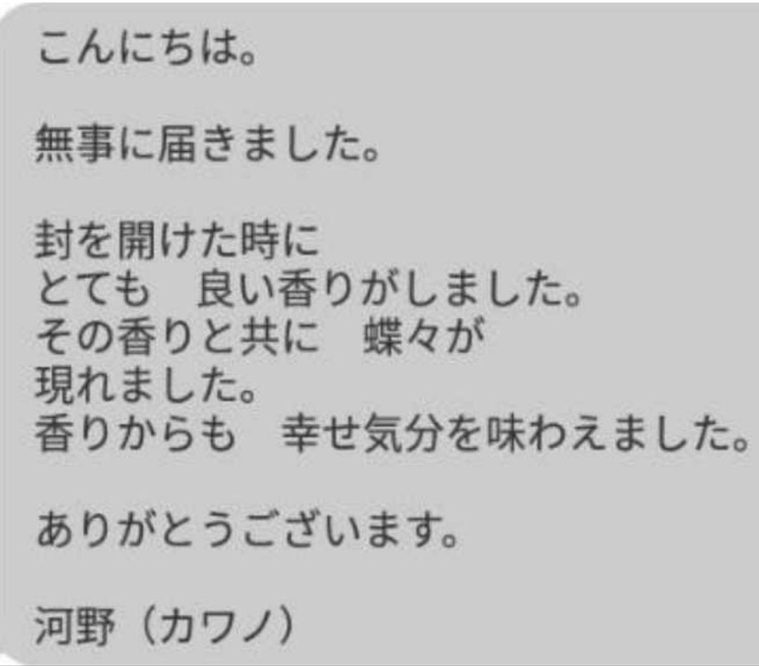 霊視　守護霊　鑑定書配達