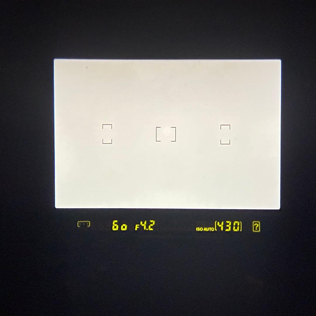 【動作品】 Nikon D40x ニコン 一眼レフカメラ ケース付き