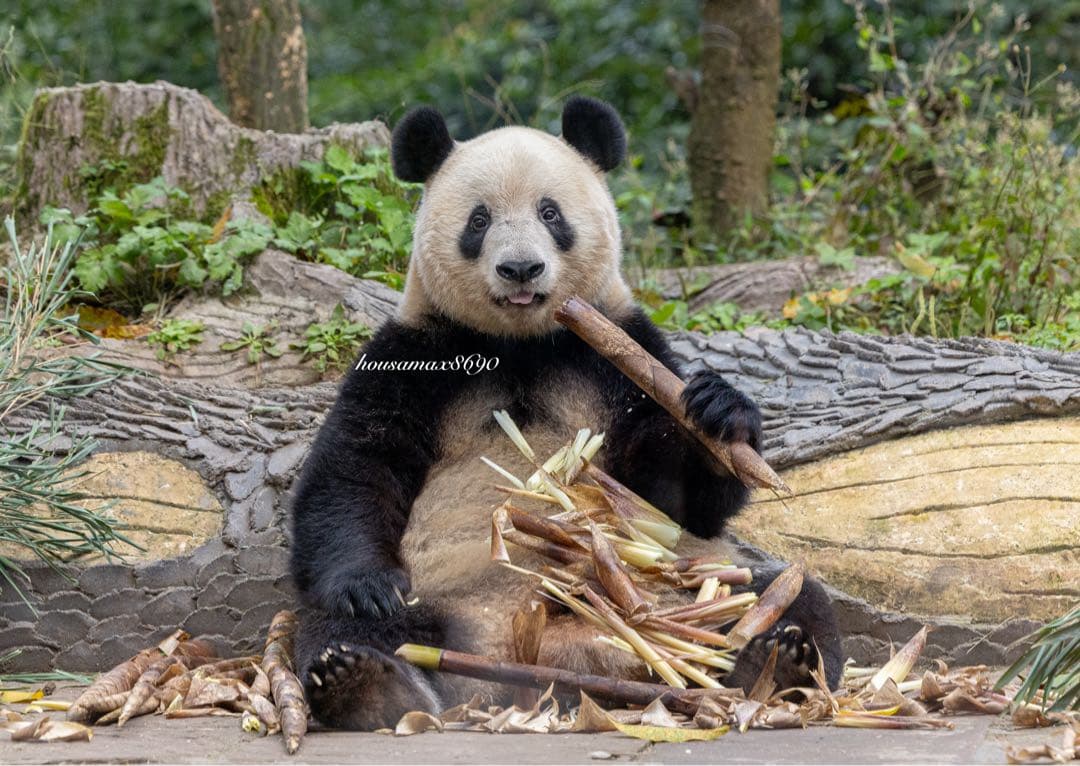 さいさい様 リクエスト 7点