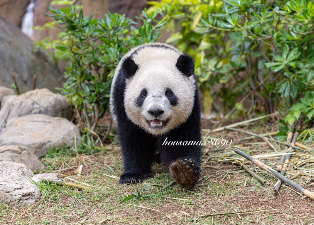 さいさい様 リクエスト 7点