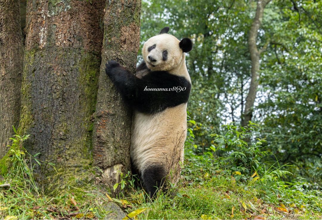 さいさい様 リクエスト 7点