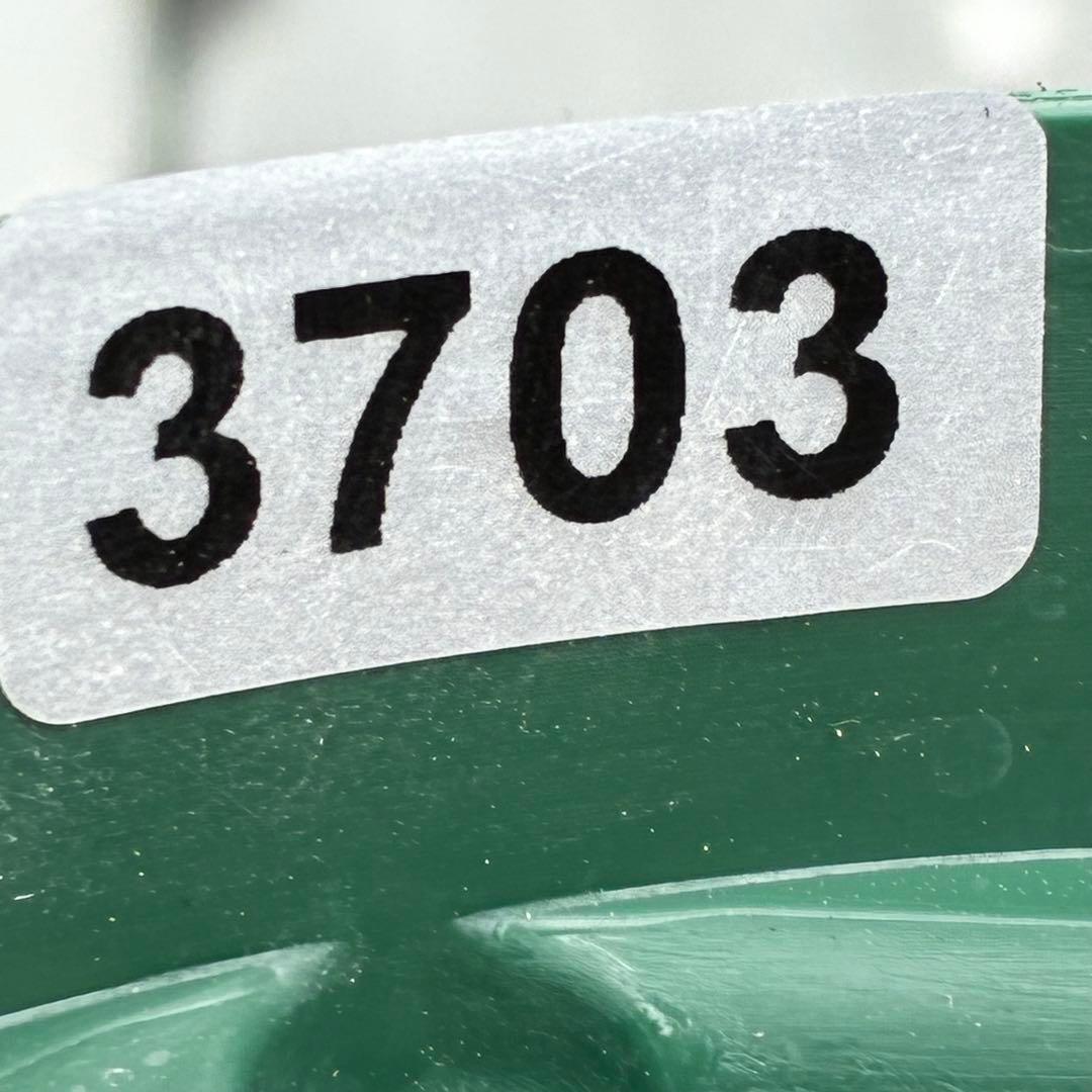 3703☘️タグ付き☘️超極上☘️⭐️ミスティーク⭐️大木ナーセリー⭐️