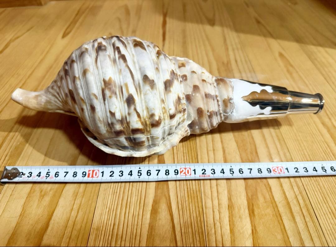 修験道法螺貝36㎝　山伏　密教　魔除け　熊よけ❣️ホラガイ　ほら貝