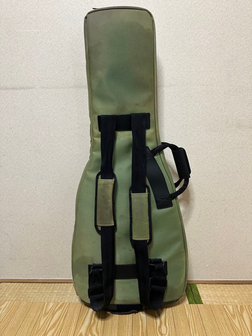 ギター GrassRoots G-SG-STD