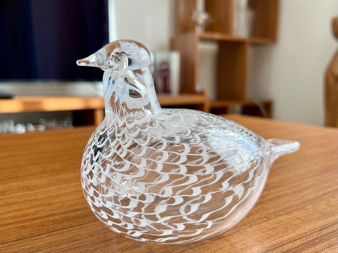 イッタラ バード メディエイタードーブ オイバトイッカ