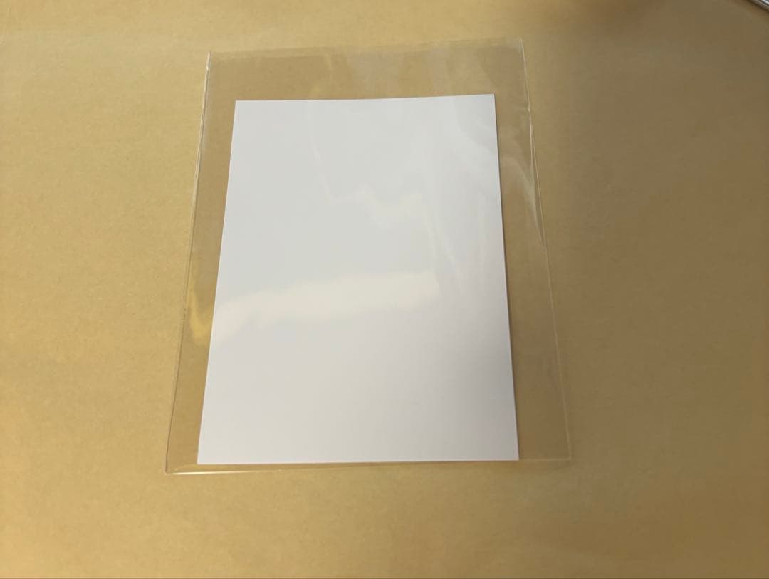 いぬぼく 書籍特典 サンタ野ばら