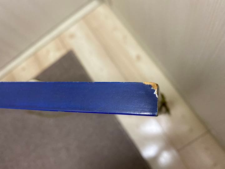 SCH IＭＭEL CANYON OF THE AGES