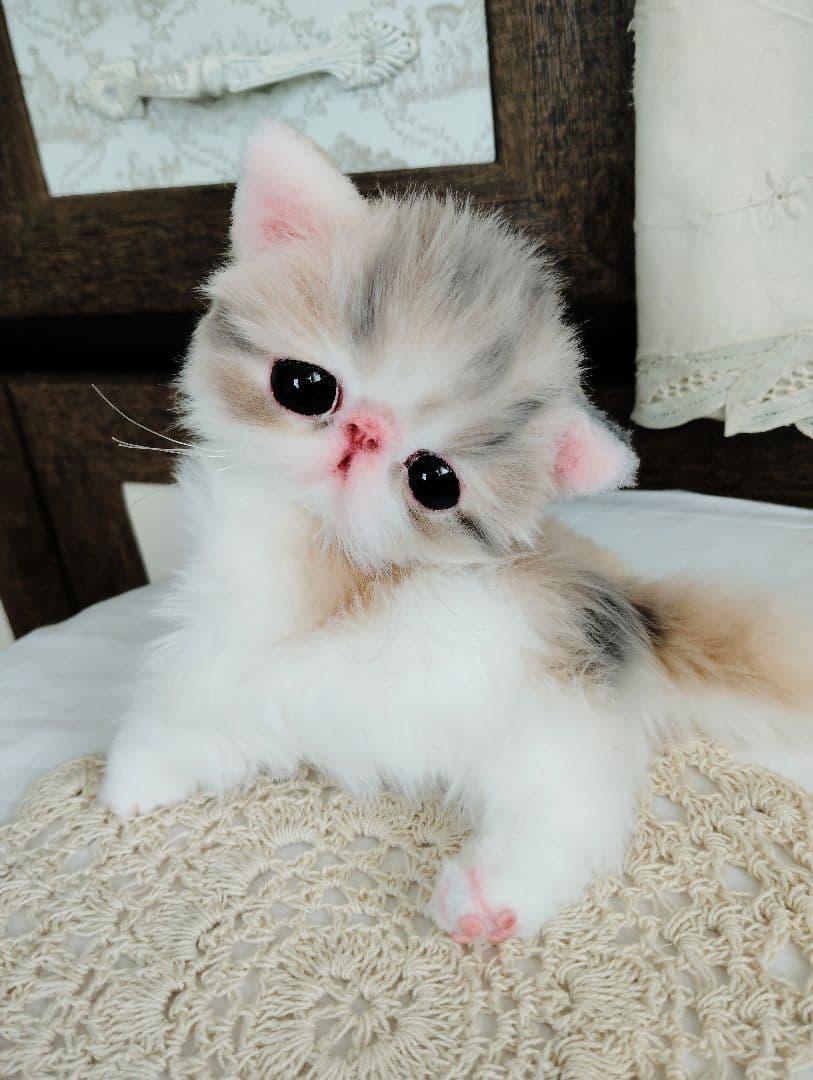 生後２週間♡エキゾチック♡幼猫♡子猫のミイコちゃん♡アートドール♡ぬいぐるみ♡