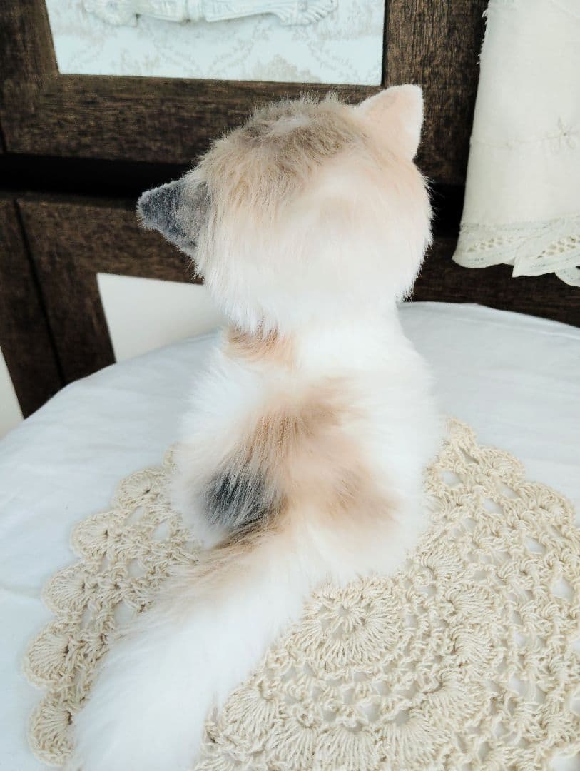 生後２週間♡エキゾチック♡幼猫♡子猫のミイコちゃん♡アートドール♡ぬいぐるみ♡