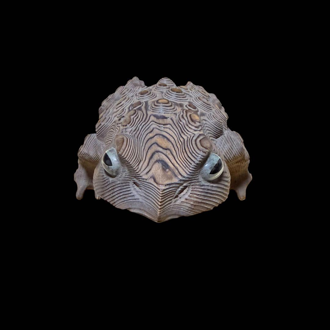 カエル　木彫り　彫刻　蛙の置物　ガマガエル